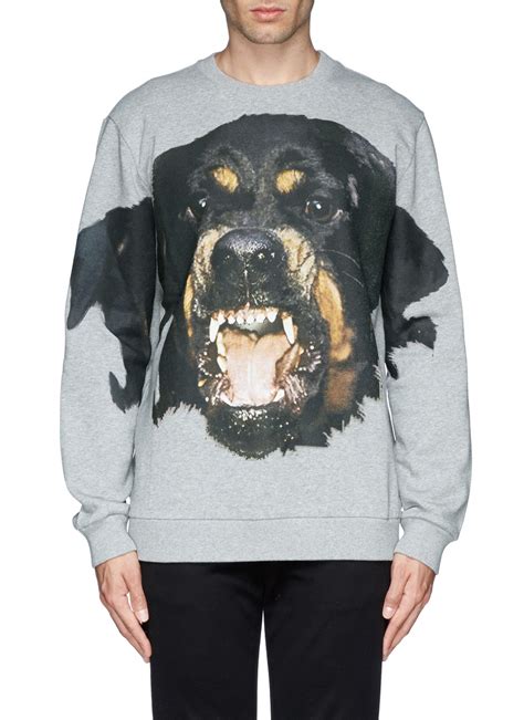 givenchy rottweiler sweater for sale|givenchy rottweiler print sweatshirt.